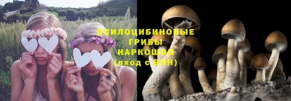 марки lsd Богородск