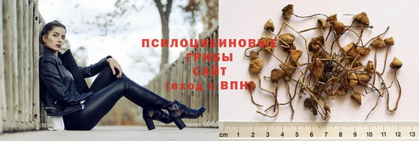 мяу мяу мука Белокуриха