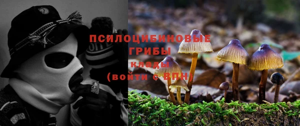 стаф Беломорск