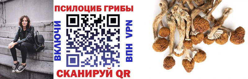 Псилоцибиновые грибы прущие грибы  Касли 